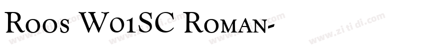 Roos W01SC Roman字体转换